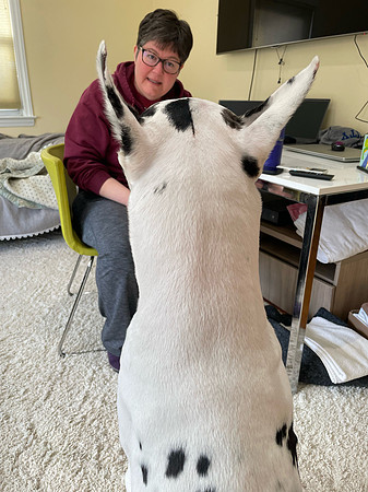 Back-of-head-Bing