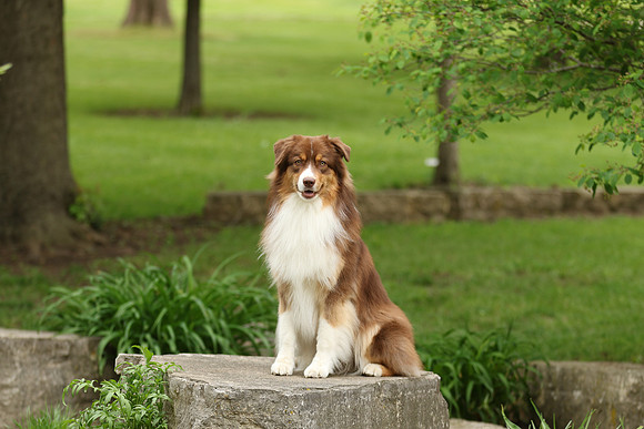 604A2035