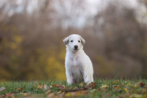 A44I2402