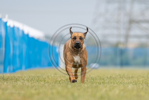 A44I4412