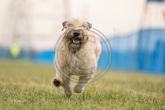 A44I4962