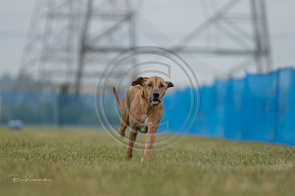 A44I3002